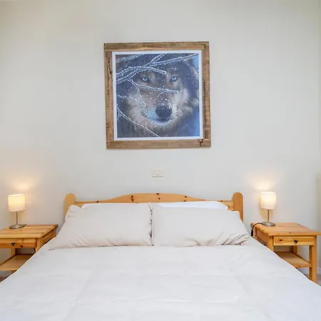 公寓 Guesthost - Lovely Flat X6 In Nature With Parking Space 塔尔维西奥